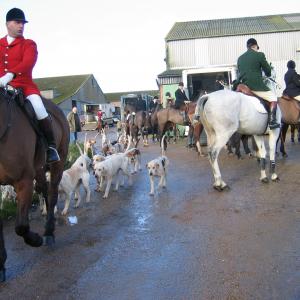 Chediston Hunt 2007