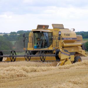 Harvest Chediston Green