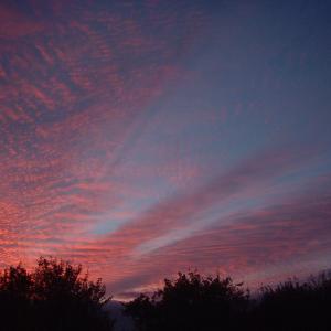 Sunset Chediston Hedgerows 