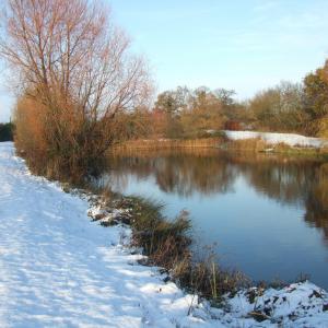 willow lakes first snow a