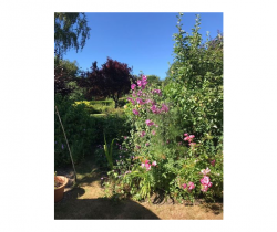 garden2